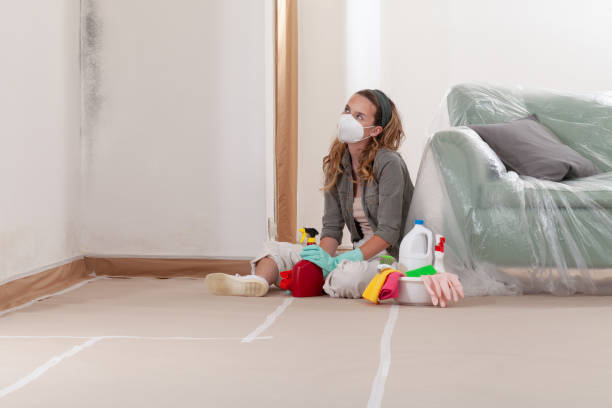Reliable Mold Remediation contractor in Gowen, MI by Cheap Mold Removal